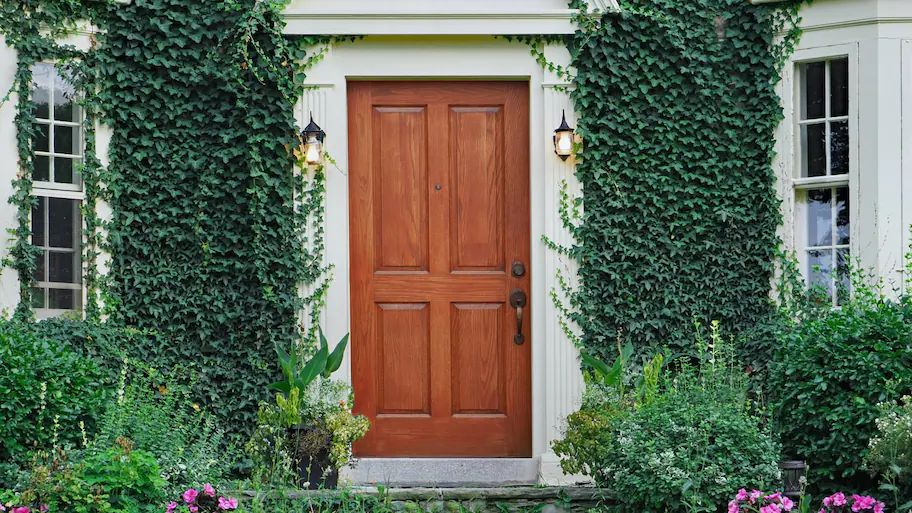 wooden front door vine house