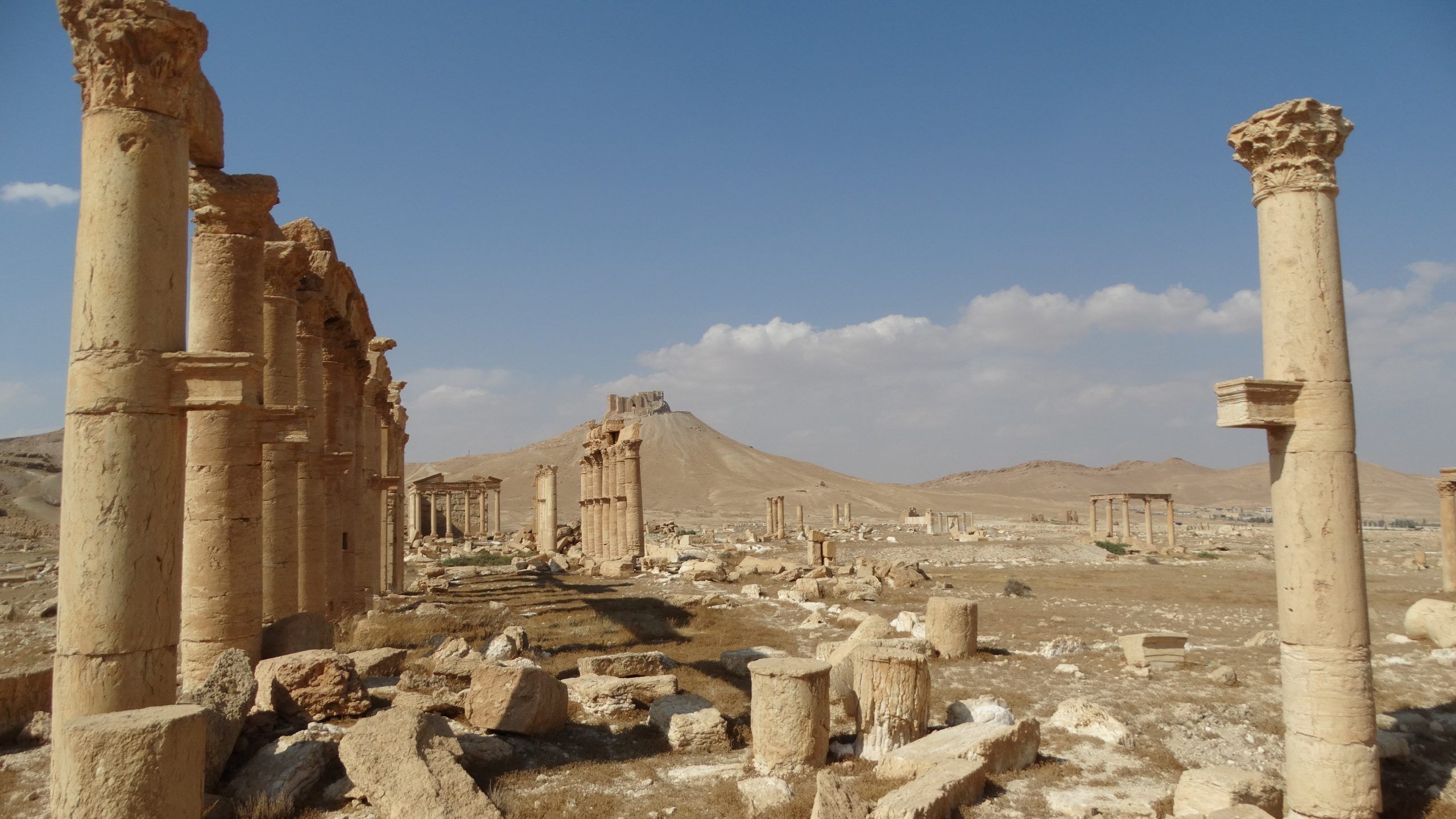 aladdin hammami vi1fIqmbHP0 unsplash