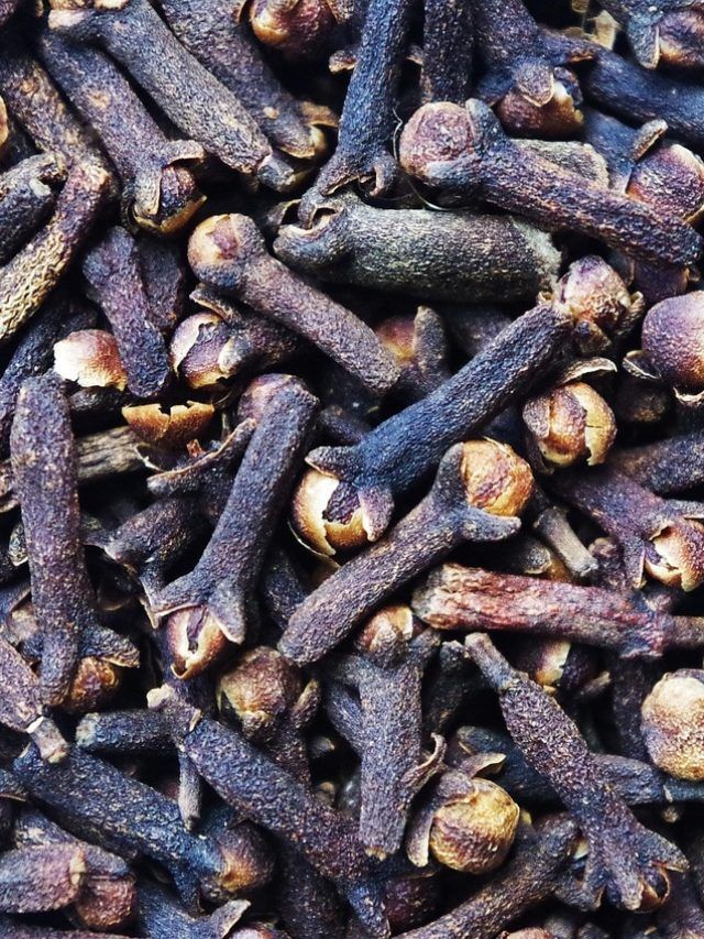 जल्दी गायब हो जाती है लौंग की महक, जान लें स्टोर करने का सही तरीका