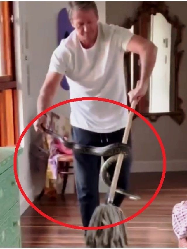 इस क्रिकेटर के घर में घुसे 3 अजगर, हाथ से पकड़ा, फिर क्या हुआ? VIDEO