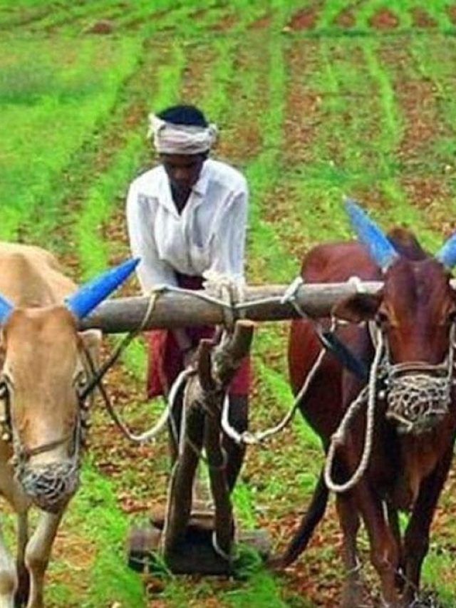 5 लाख रुपये की मदद के लिए किसानों को नहीं लगाने होंगे दफ्तरों के चक्कर, जानें सरकार का प्लान