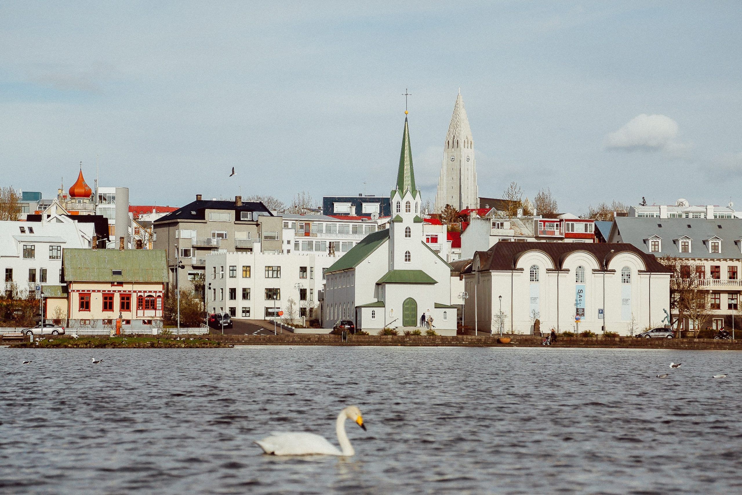 evelyn paris WvPQYDd 3Ow unsplash