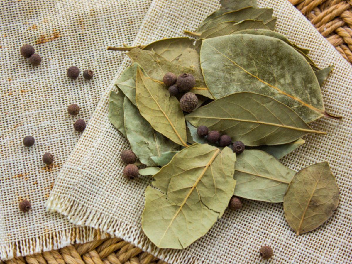 শরীরের ভারসাম্য বজায় রাখতে অপরিসীম তেজপাতা 3 bayleaves