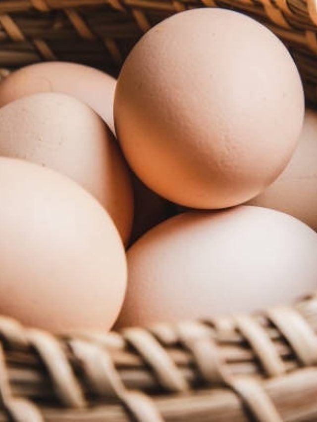 नहीं खाया जाता है अंडा? इन चीजों से करें शरीर में प्रोटीन की कमी को पूरा
