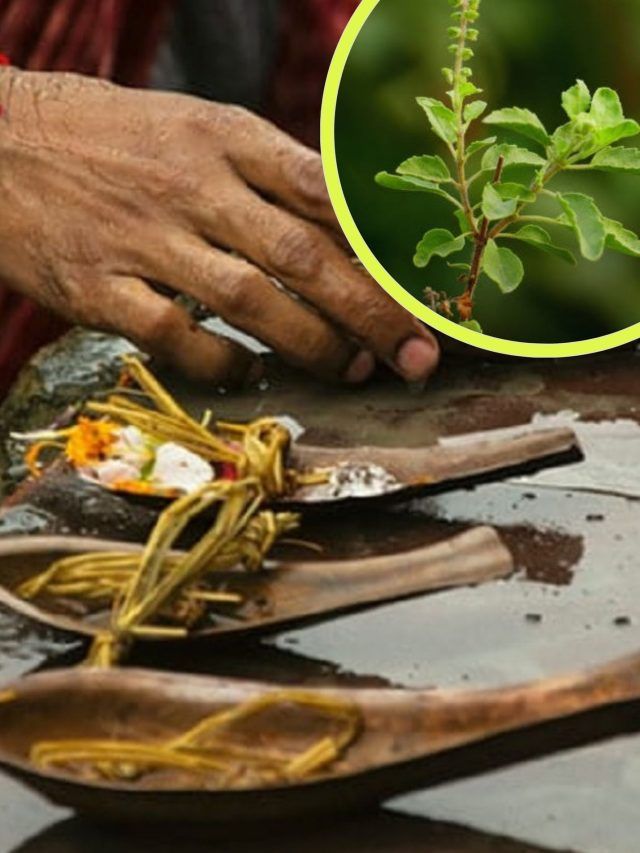 पितृपक्ष में यह एक संकेत मिलना बेहद अशुभ, धन की बर्बादी का है इशारा