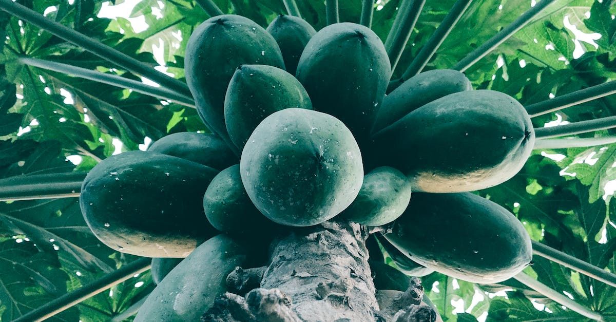 pexels pho 1696507243