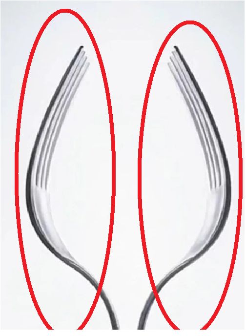 Forks