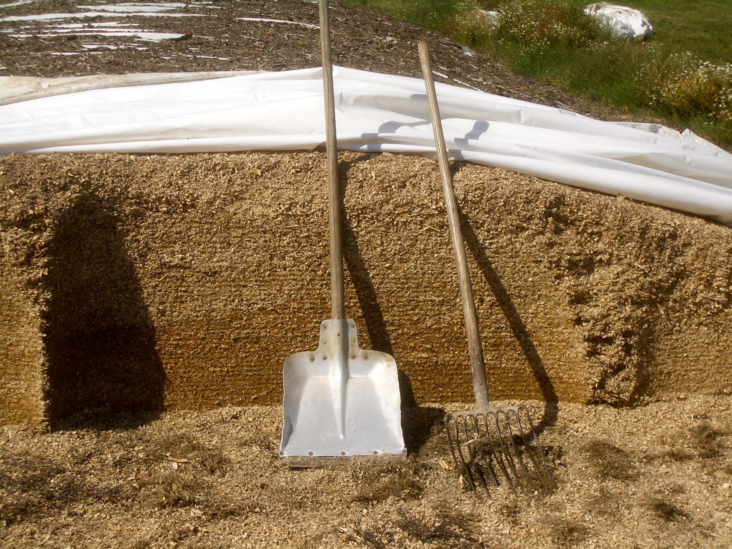 Maissilage Zeilitzheim 1