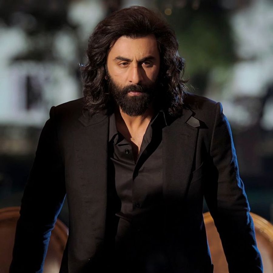 Ranbir Kapoor's must-watch films before Animal