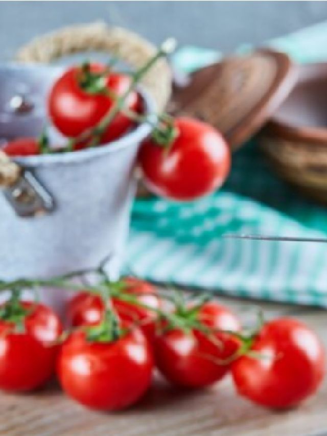 गमले में आसानी से उगाएं चेरी टमाटर, फॉलो करें ये टिप्स