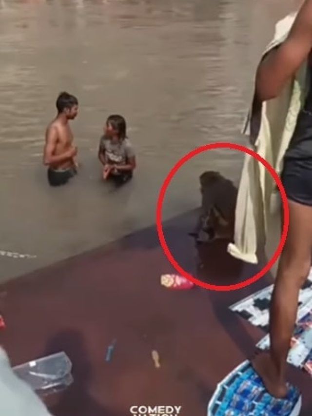 घाट पर पानी से अठखेलियां कर रहा था कपल, बंदर ने मजा किरकिरा कर दिया!
