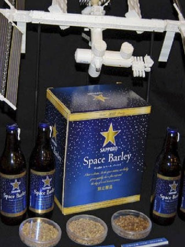 अंतरिक्ष में उगाई जौ से तैयार की गई ये बीयर, जानें क्या है इसका नाम