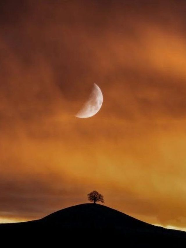 चांद को छत पे बुला लूंगा इशारा करके... करवाचौथ पर शायरों के चुनिंदा शेर