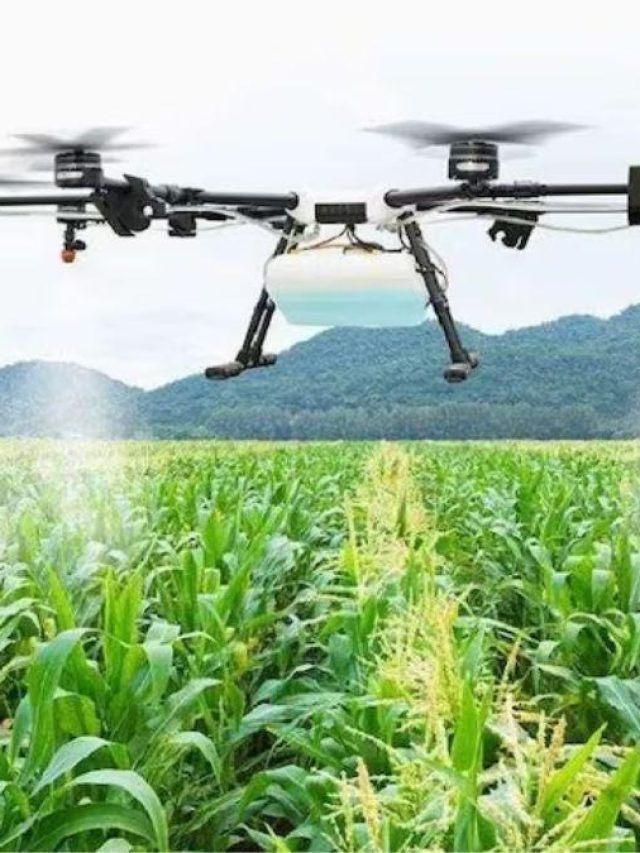 ड्रोन से खेतों में कीटनाशक का करें छिड़काव, मिलेंगे 2500 रुपये