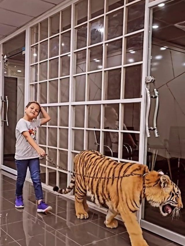 बाघ को टहलाता दिखा 10 साल का बच्चा, डराने वाला VIDEO VIRAL