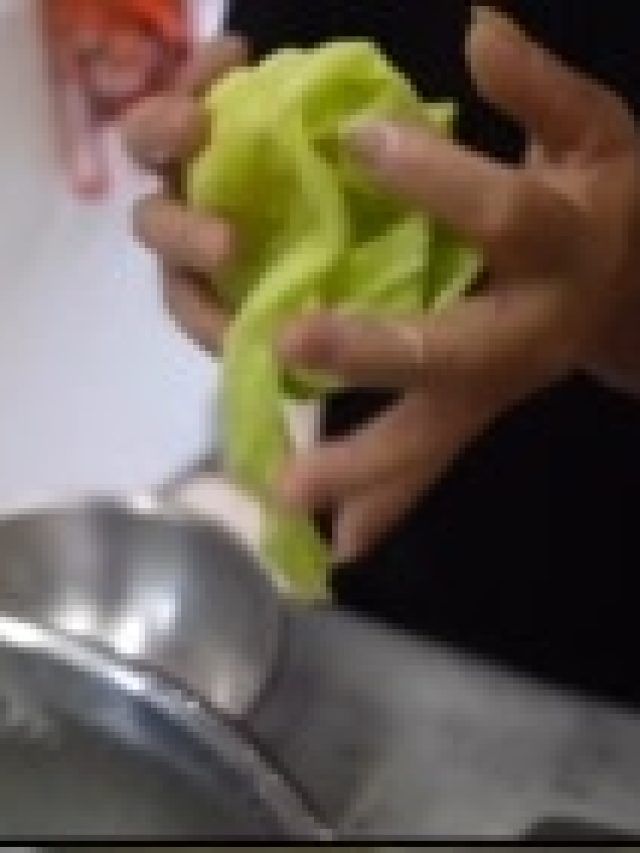 बाप रे! सलाद के लिए वैक्स से चुटकियों में बना डाली पत्तागोभी, देखें वायरल वीडियो