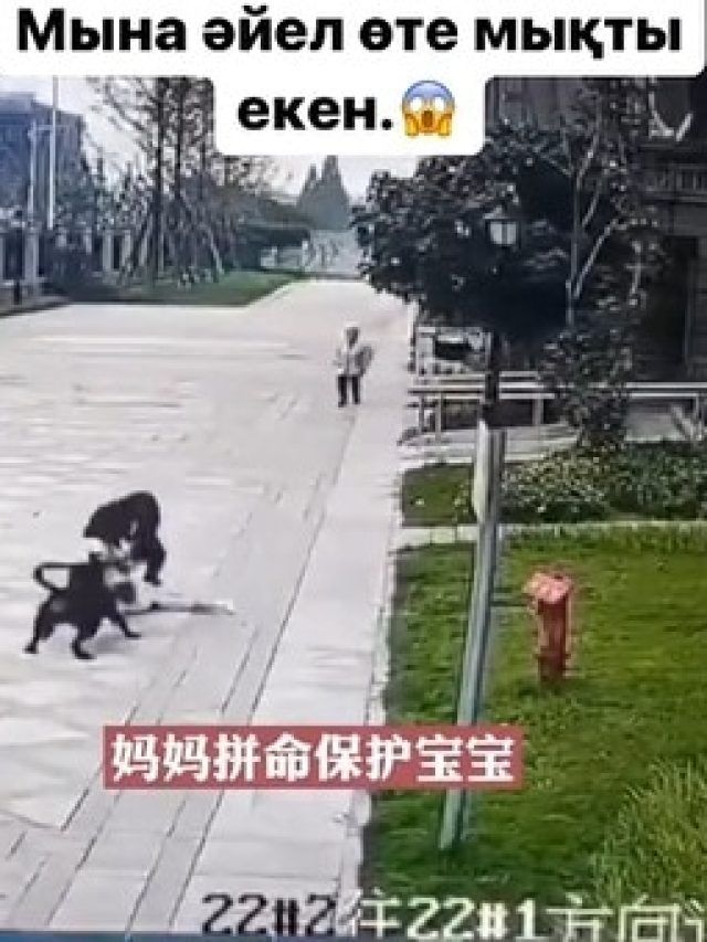 कुत्ते ने मां की गोद से छीनकर बच्ची को नोंचा, डरा देने वाला VIDEO वायरल