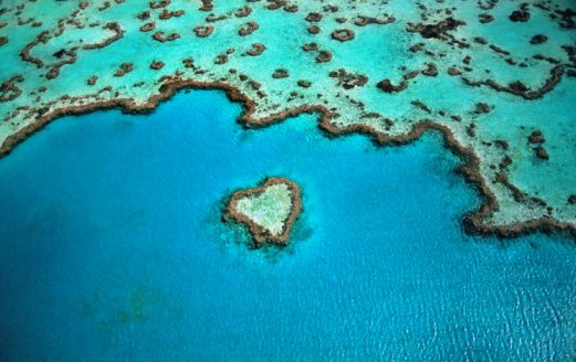 gettyimages 200114042 001 170667a