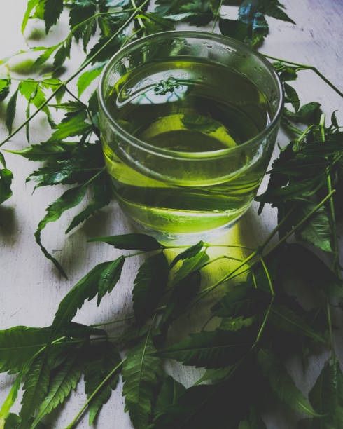 green tea