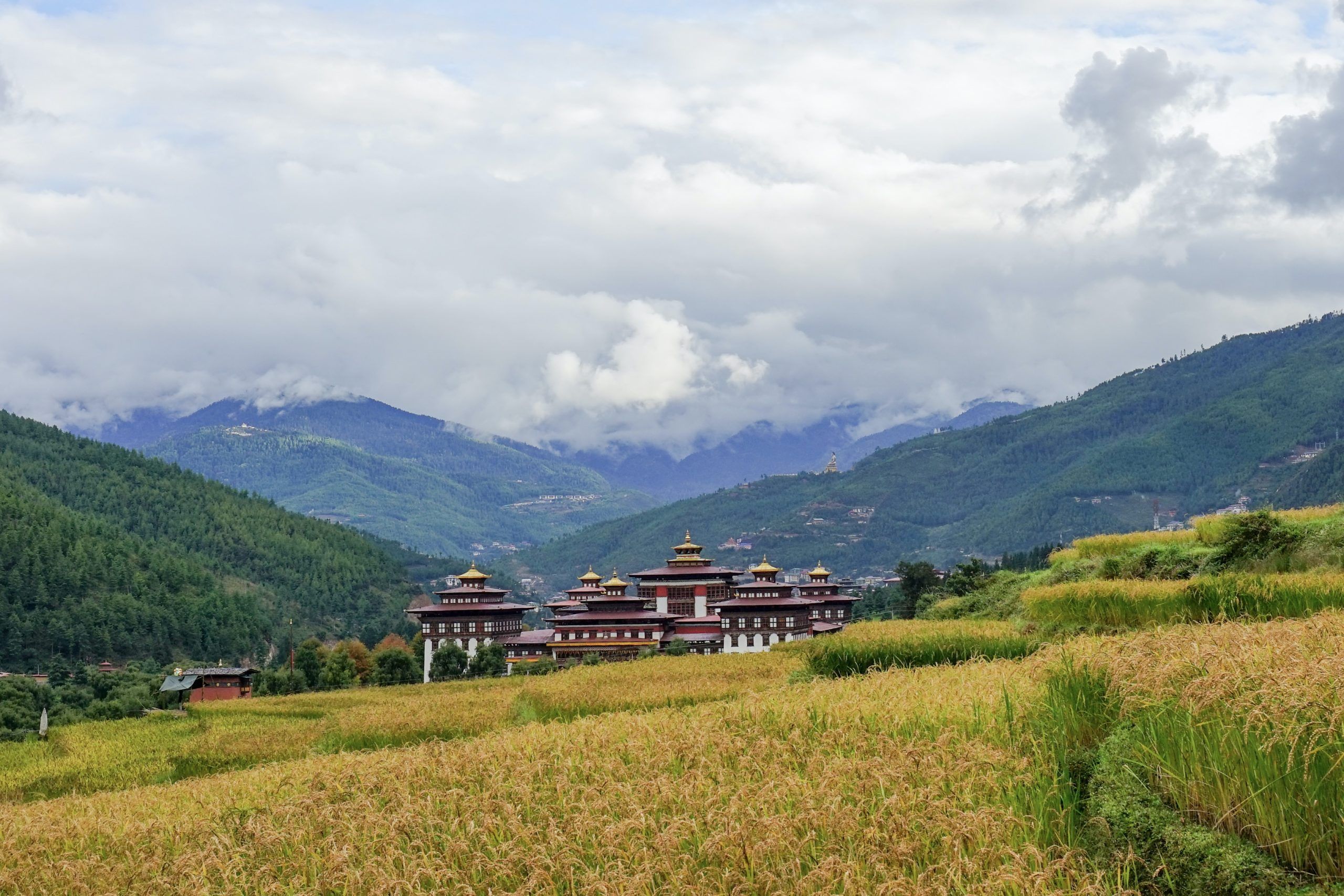 pema-gyamtsho-QkbIxJhALtk-unsplash