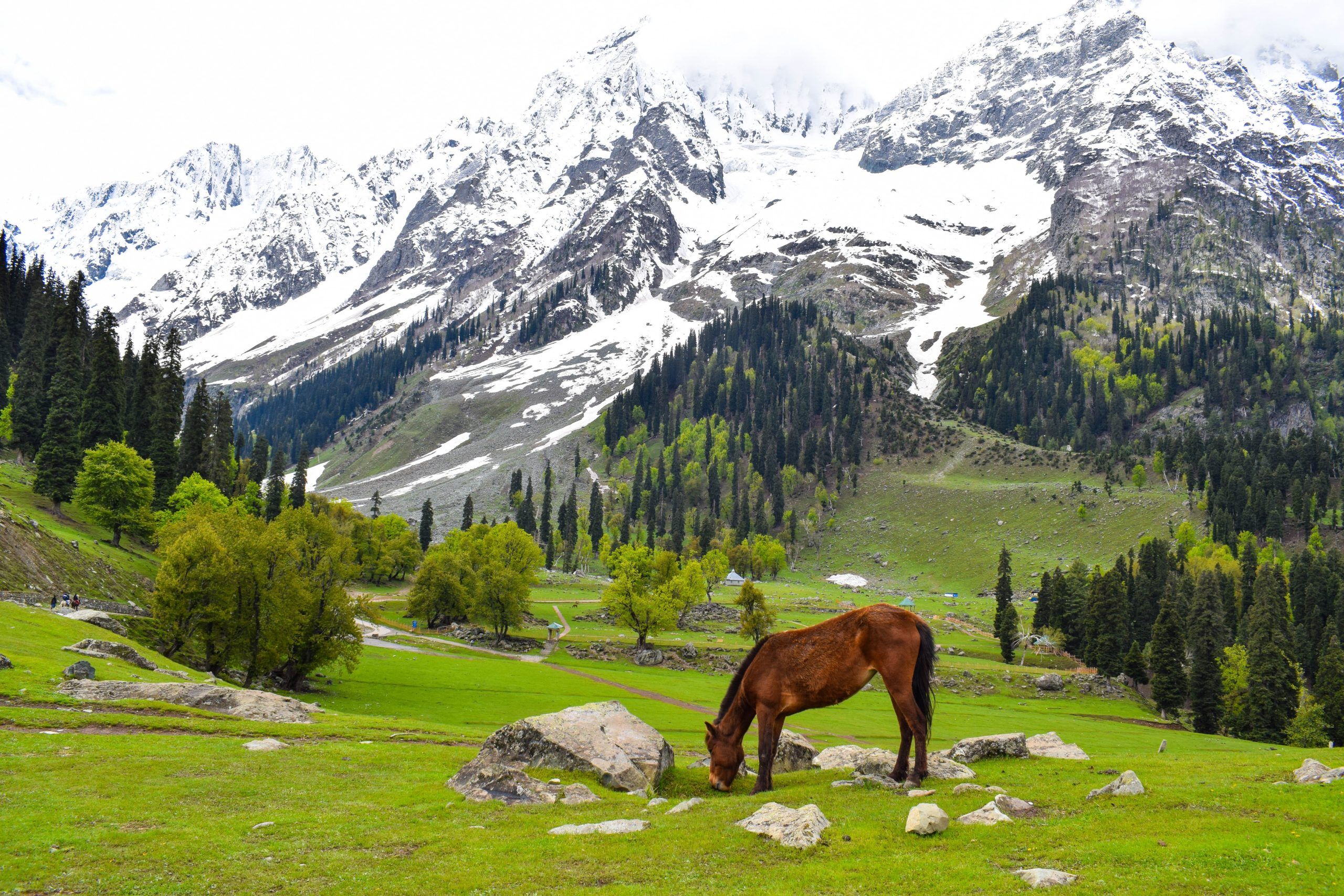 praneet kumar H8dcf v98mA unsplash