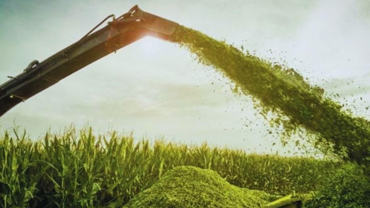 silage sixteen nine