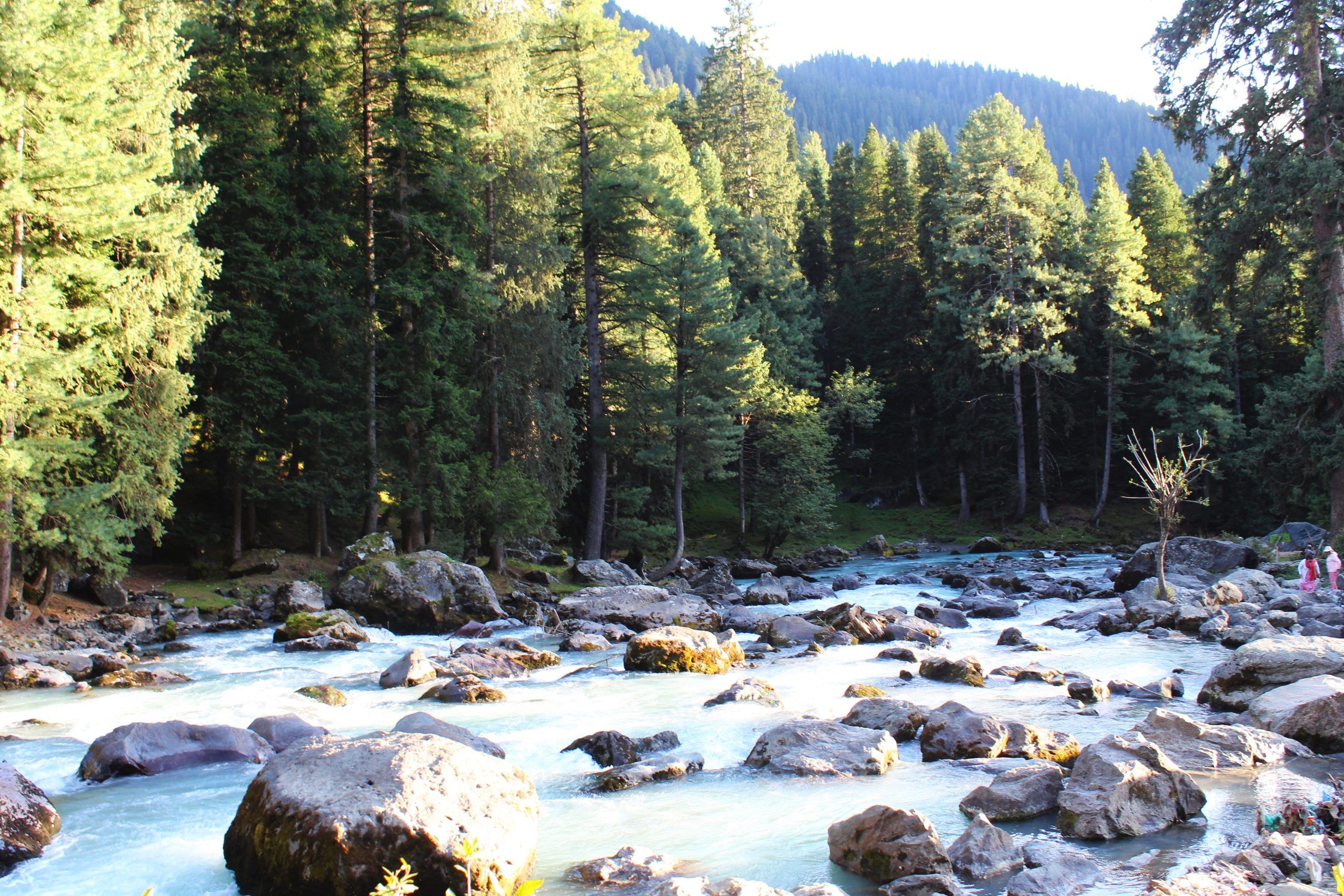 sourav bhadra ixfFZUj0BZA unsplash