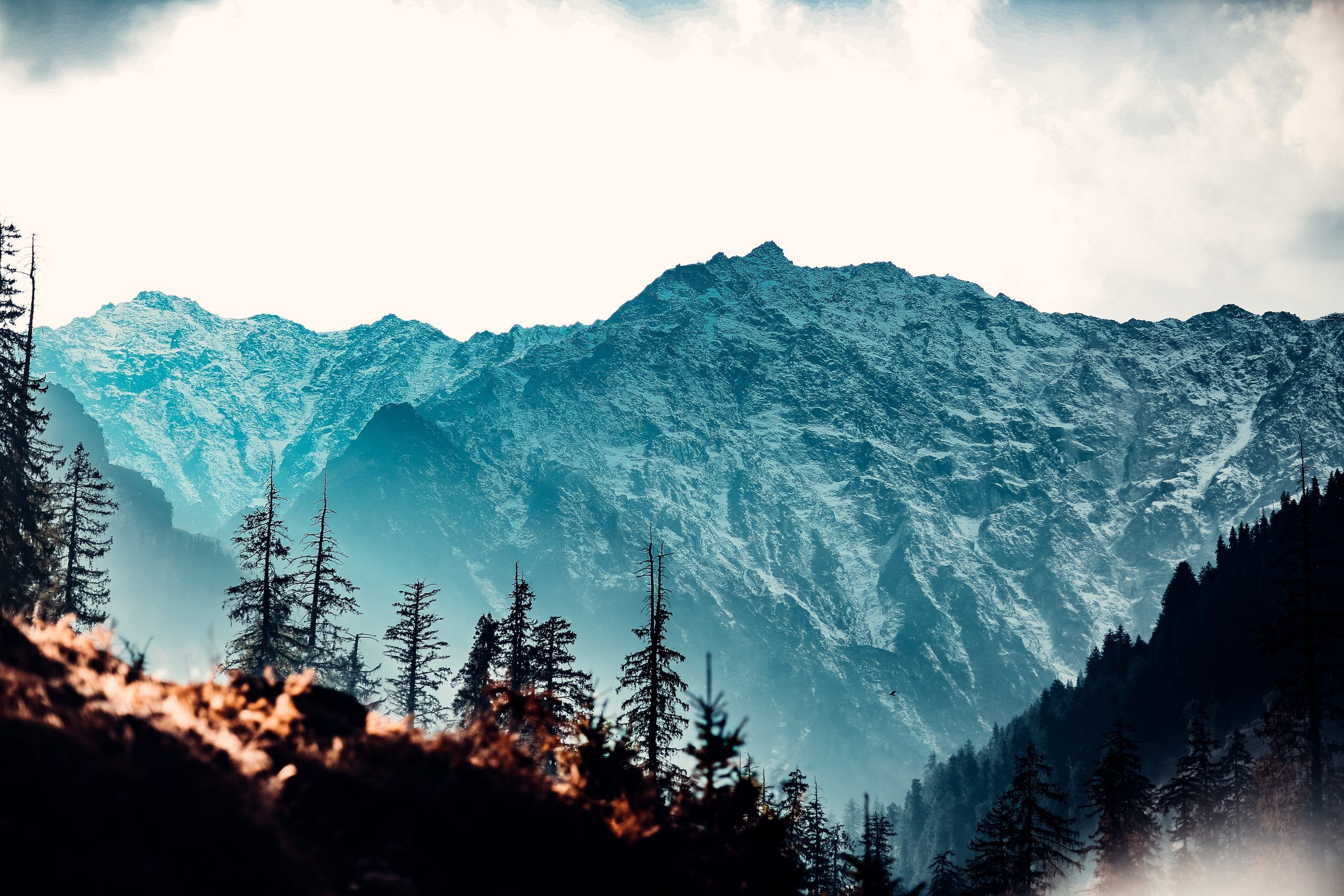 surya teja oIXJ839p55k unsplash