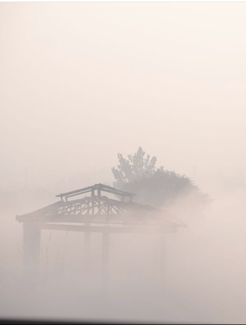 Delhi Fog 04