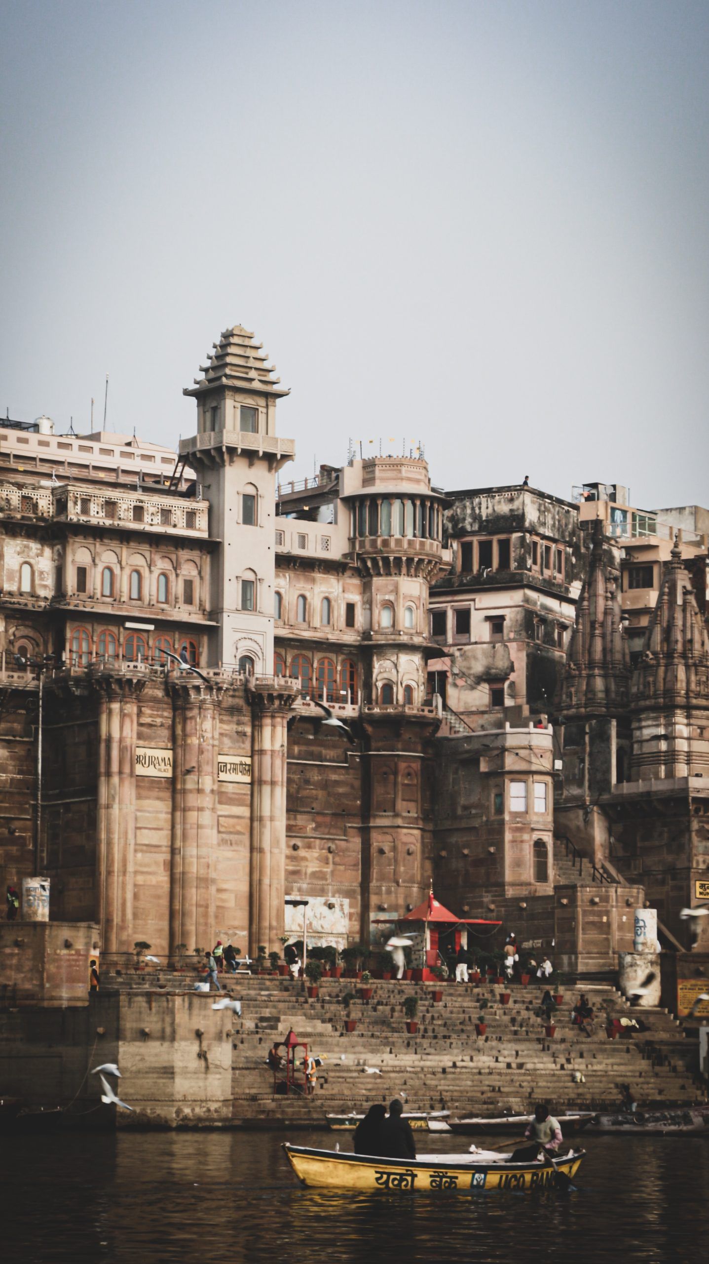 ashish-singh-iCjRWu3RNkw-unsplash