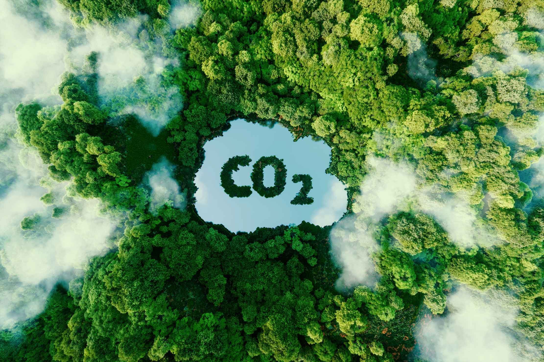 carbon