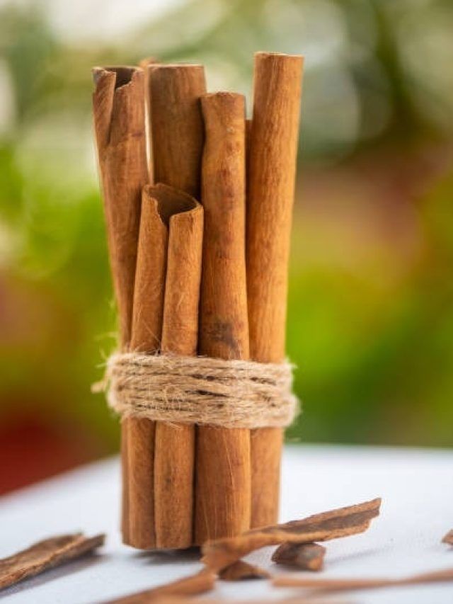 कोलेस्ट्रॉल के मरीजों के लिए अमृत है दालचीनी, जानें खाने का सही तरीका