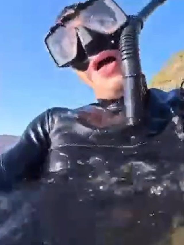 'मौत पास थी, सोचा गुड बॉय कह दूं', शख्स ने शूट किया शॉर्क के हमले का VIDEO