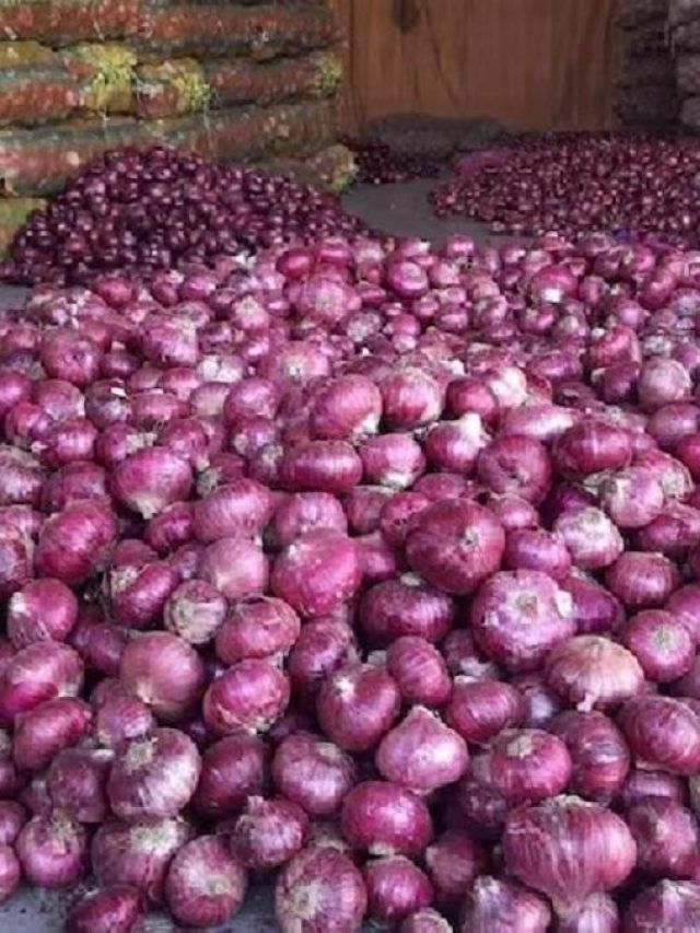 किसानों ने सड़क पर प्याज फेंककर किया प्रदर्शन, जानें क्या है वजह