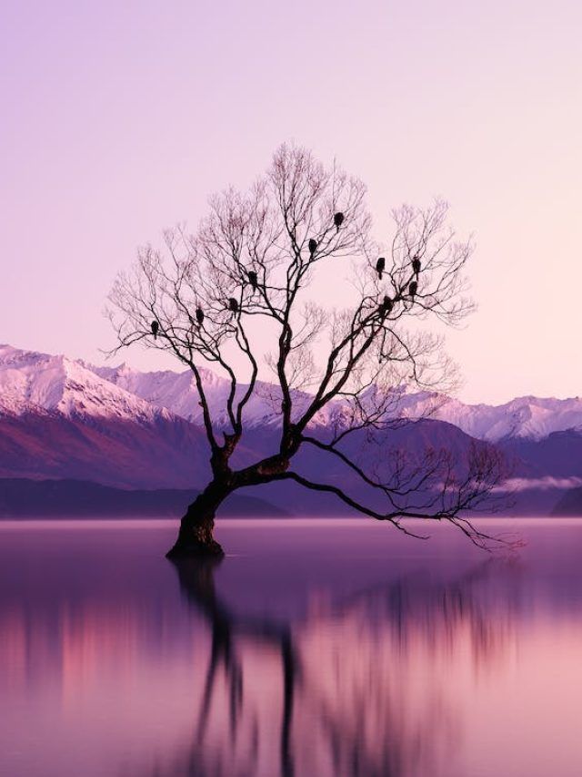 मगर सब जानते हैं कैसी शोहरत कौन रखता है... ऐतबार साजिद के चुनिंदा शेर