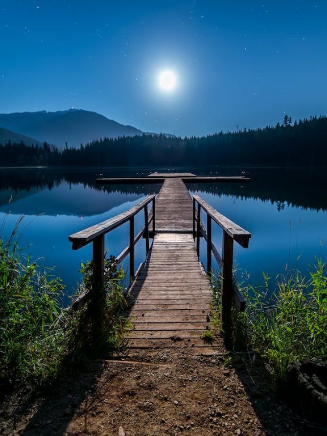 तेरी शर्तों पे ही करना है अगर तुझको कबूल... शायर अजहर फराग के चुनिंदा शेर