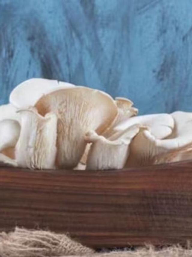 मशरूम की इन 4 किस्मों से कमाएं बंपर मुनाफा, एक कमरे में भी कर सकते हैं खेती