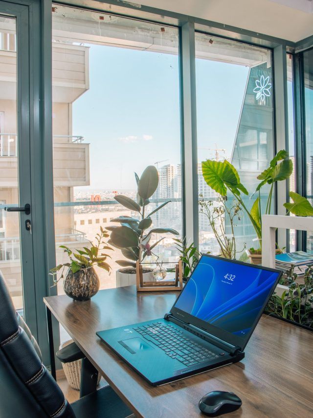 इन पौधों को ना धूप की जरूरत ना मुरझाने का डर, ऑफिस की डेस्क पर लगाएं ये इनडोर प्लाटंस