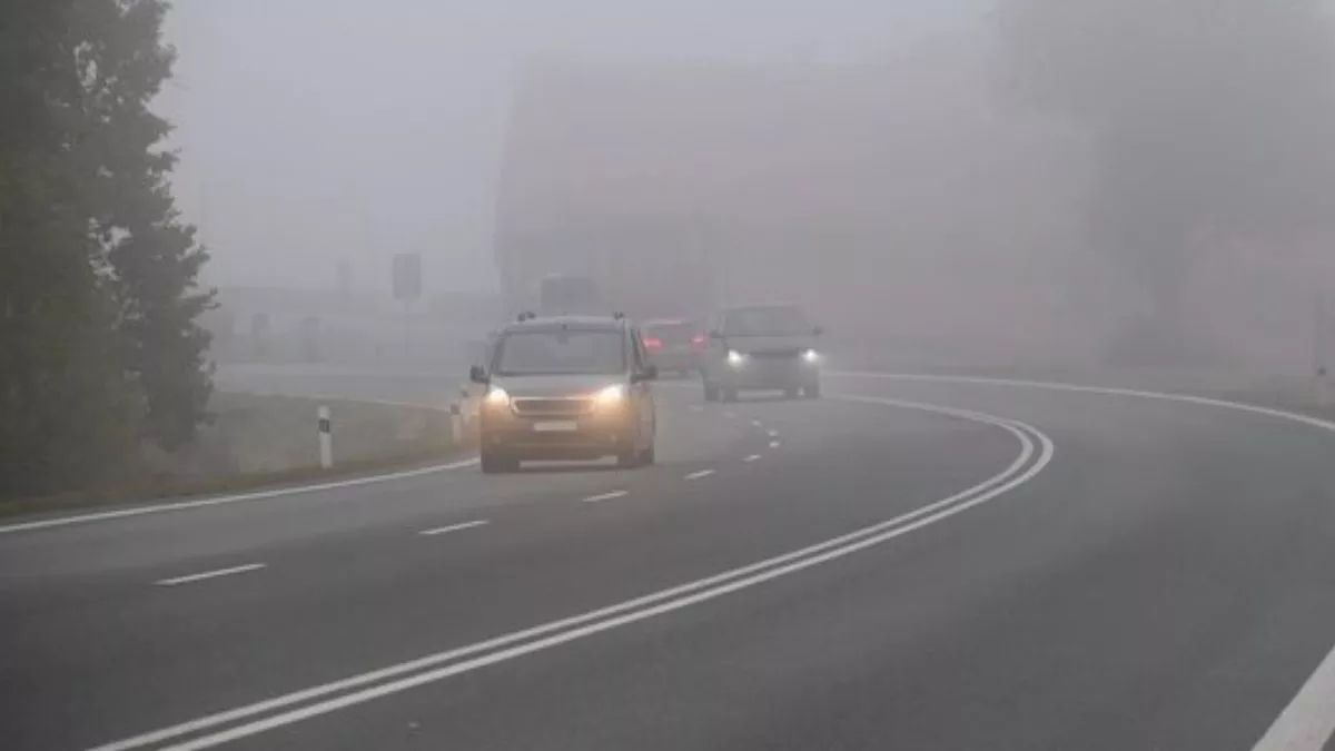 fog 4