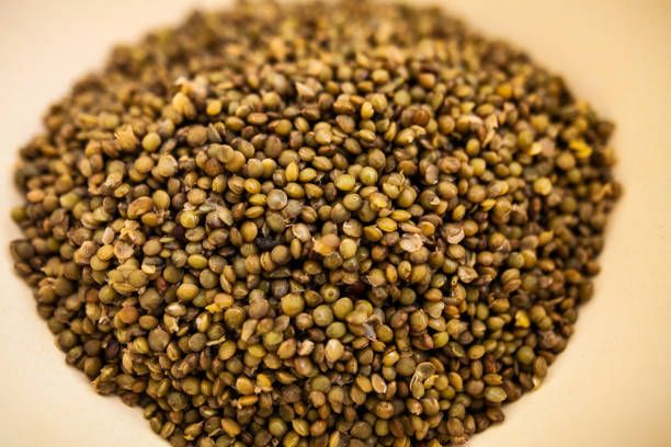 Porno bu yerga egilib