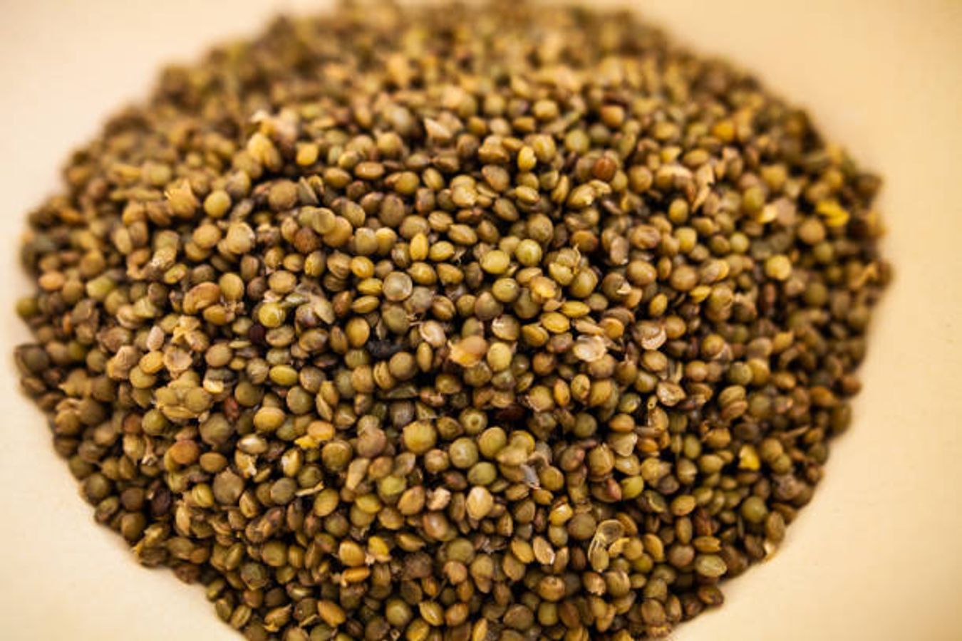 Ashley Fires porno video Porno bu yerga egilib