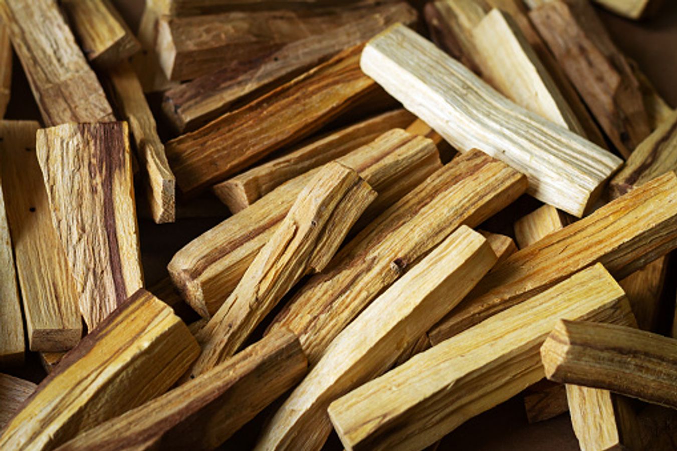 প্রতিবার ঠকে যান? আসল চন্দন কাঠ চিনুন এই উপায়ে