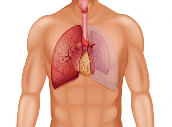 lung98989898
