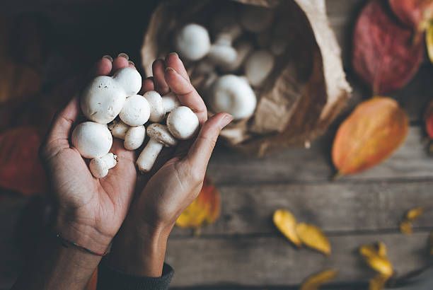 Poyezdda qizlarga josuslik qilish