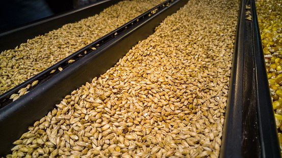 whisky making process getty 5