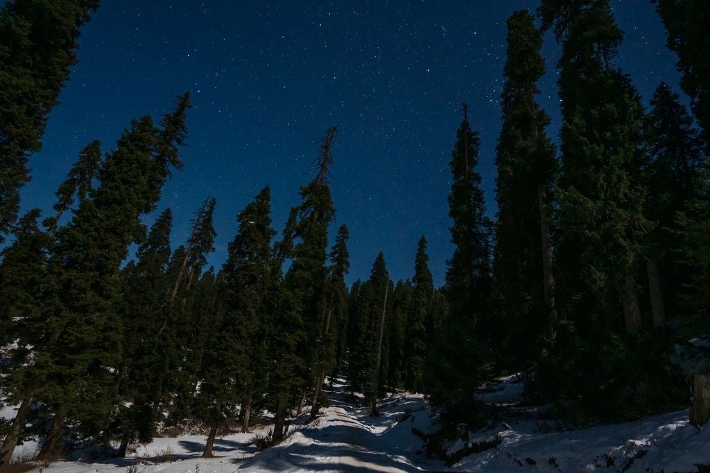 India_Kashmir_Winter_Photo_Gallery_24005649918149