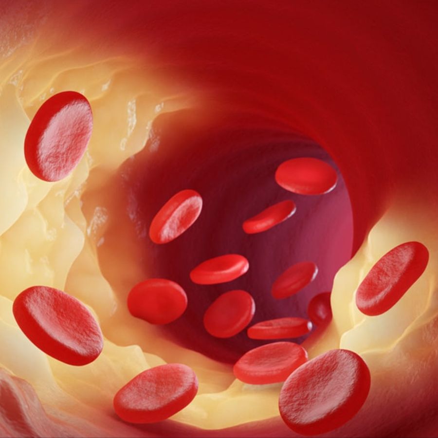 Suvli matura Ayollar ichki kiyimidagi ahmoq yigitlar