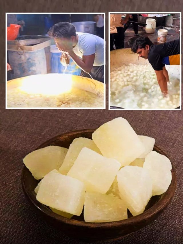 'पेठा' बनाने का ये तरीका देख लिया तो खाने से पहले 100 बार सोचेंगे...! VIDEO