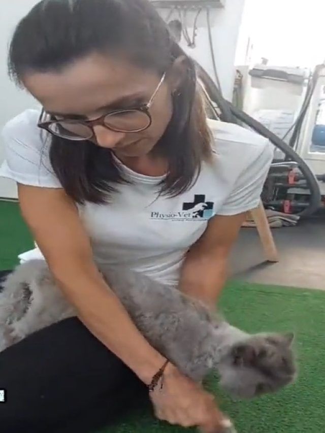 पैरालाइज्ड बिल्ली को महिला ने दी नई जिंदगी, VIDEO देख भर आएंगी आंखें