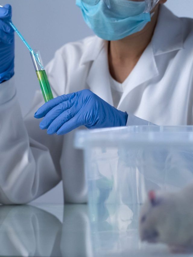 China experimenting with lethal virus, says report. This one has 100% kill rate among mice